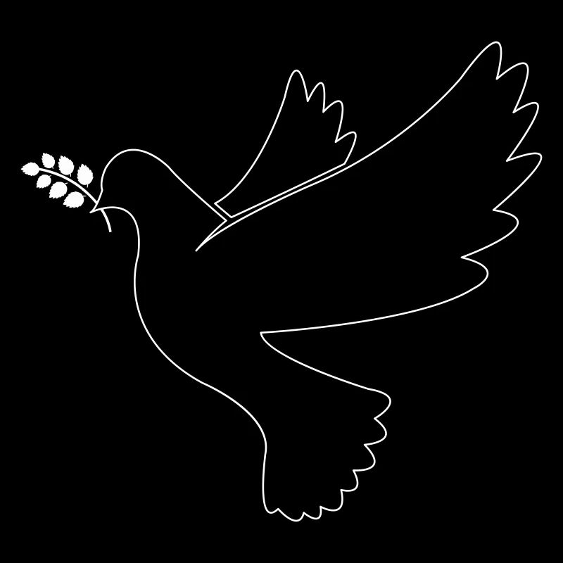Friedenstaube