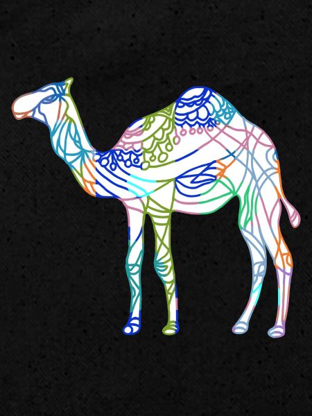 Camel