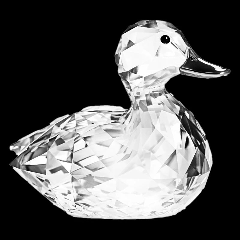 Glass Duck