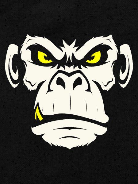 Singe2 01