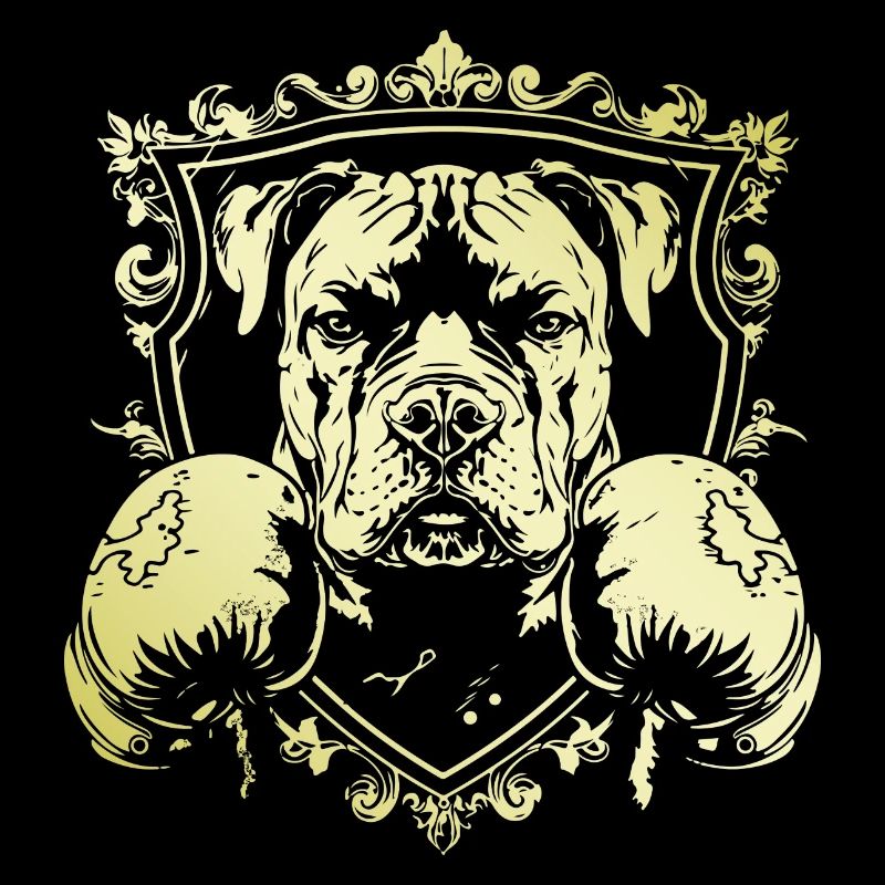 Boxer pour chien