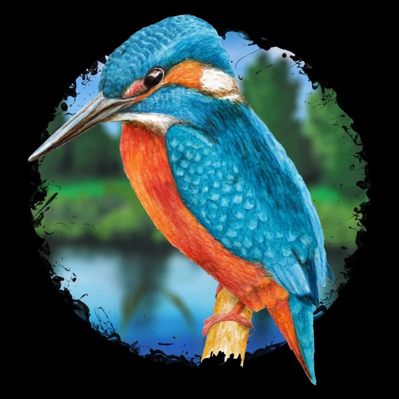 Kingfisher