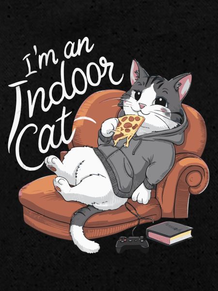 Chat d’intérieur