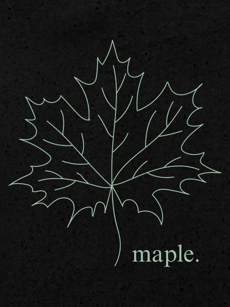Maple.