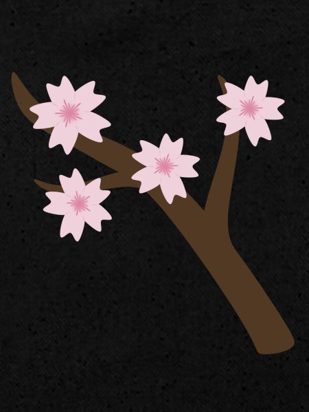 Branche de Sakura