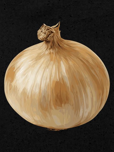 oignon