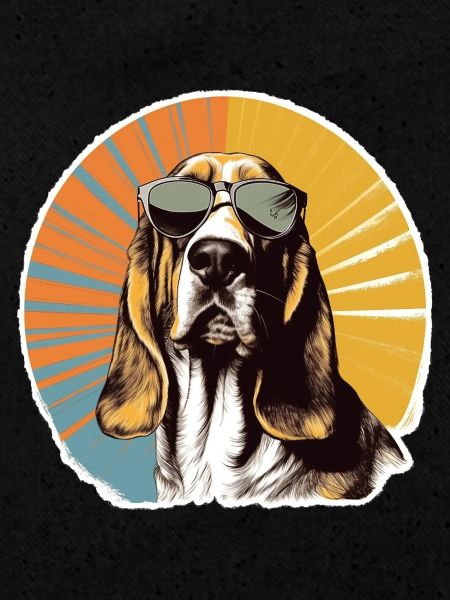Basset 2