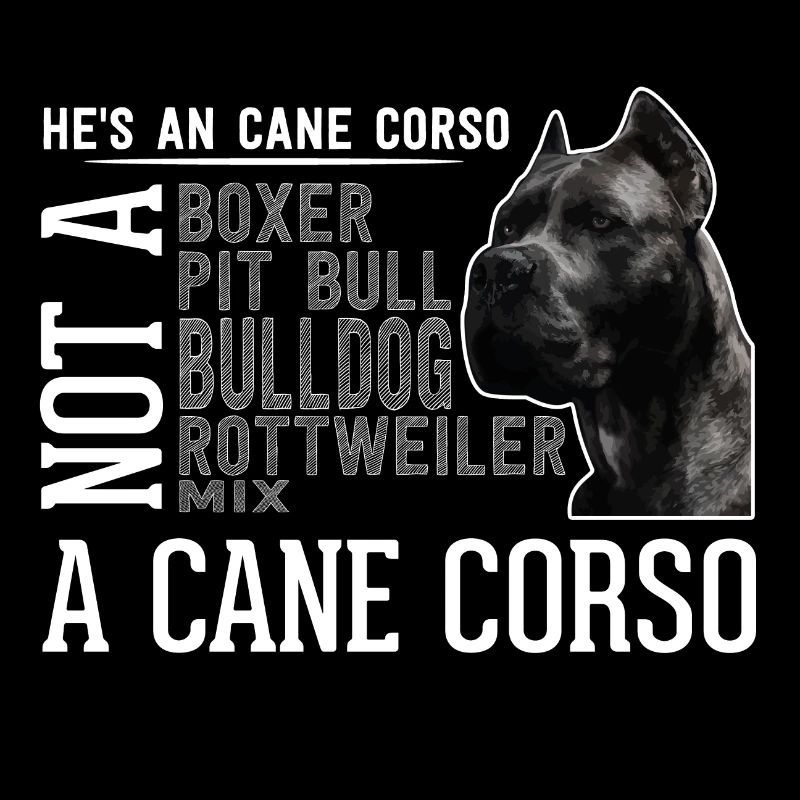 Cane Corso