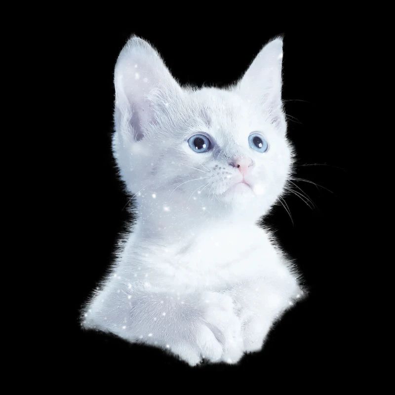 Kitty kitten cats shirt