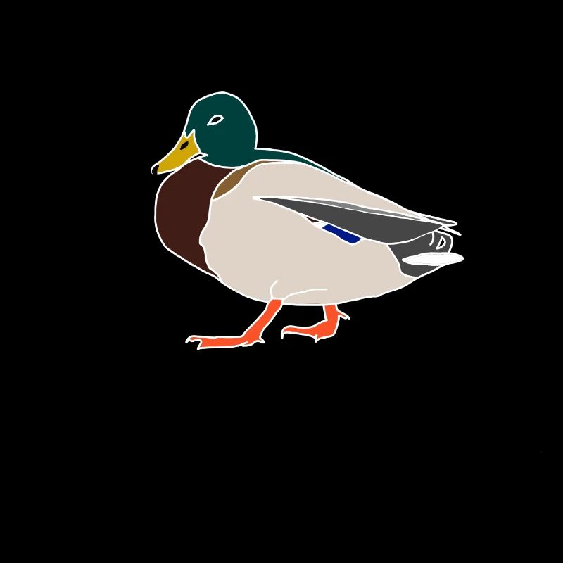 Canard