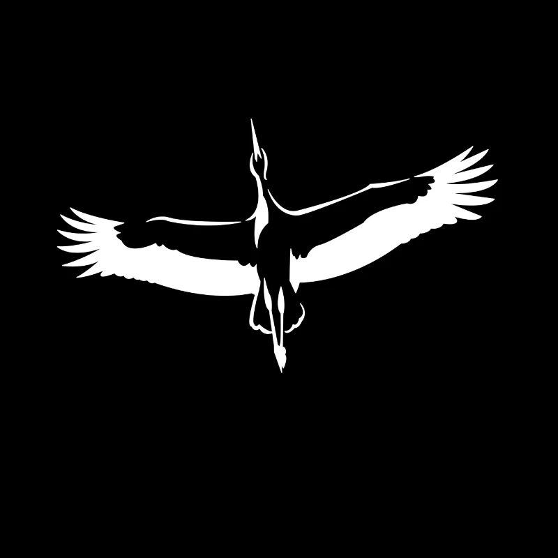 Storch