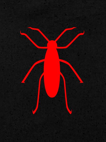 insecte