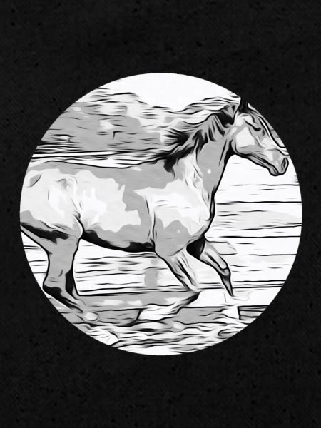 Cheval