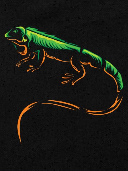 iguana