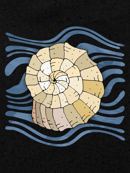 Shell