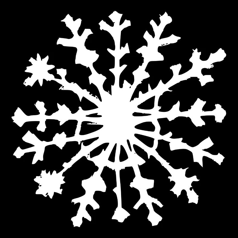 Snowflake Snow Winter Christmas Cold 09
