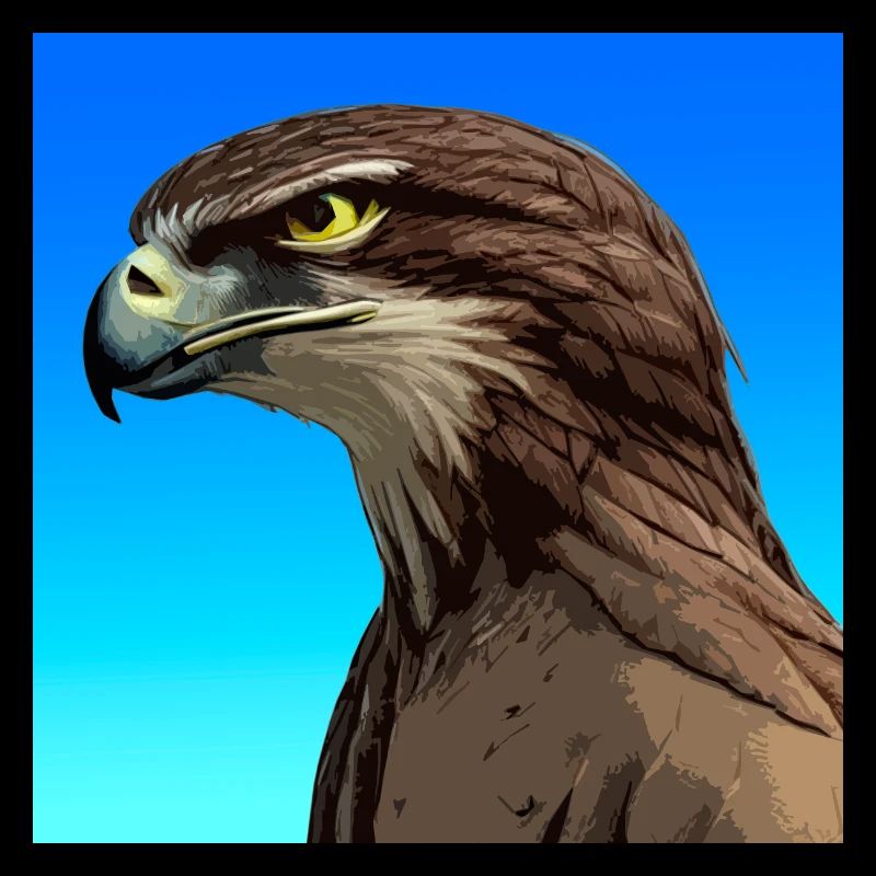 Eagle, Alcon, illustration