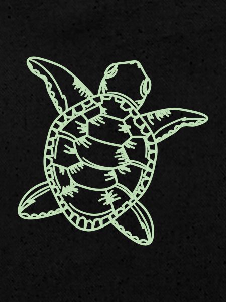 Tortue