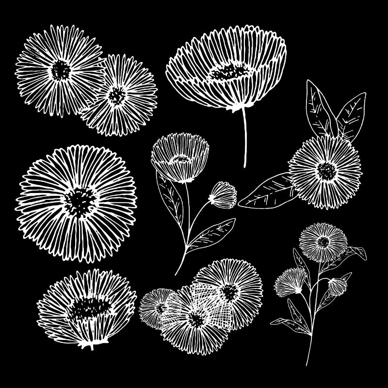 Groupe de fleurs aster