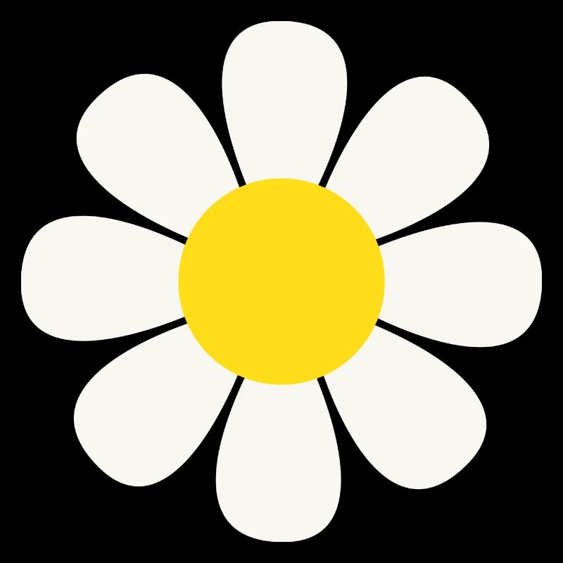 Gänseblümchen Blume Fleur de marguerite