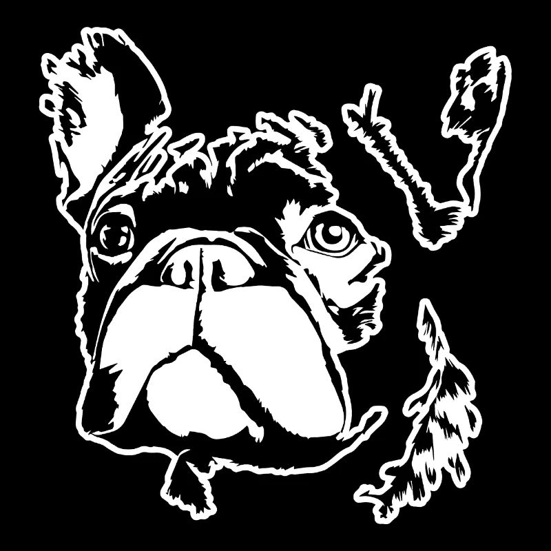 Bouledogue français Terrier de Boston