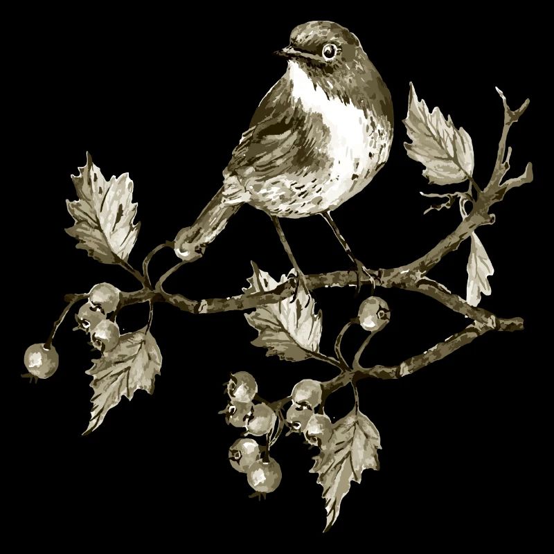 Oiseau