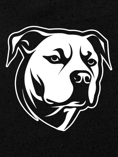 Pitbull