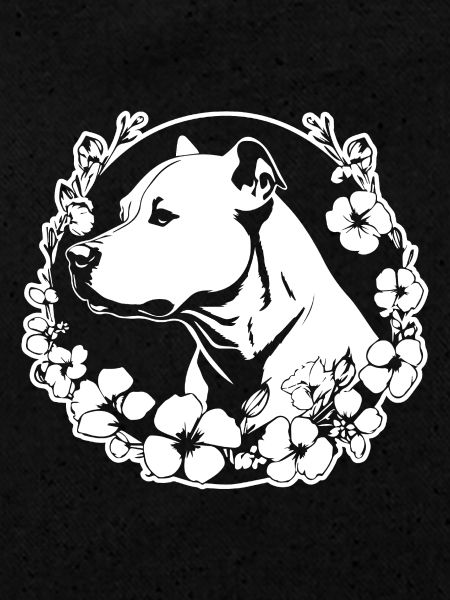 Pitbull