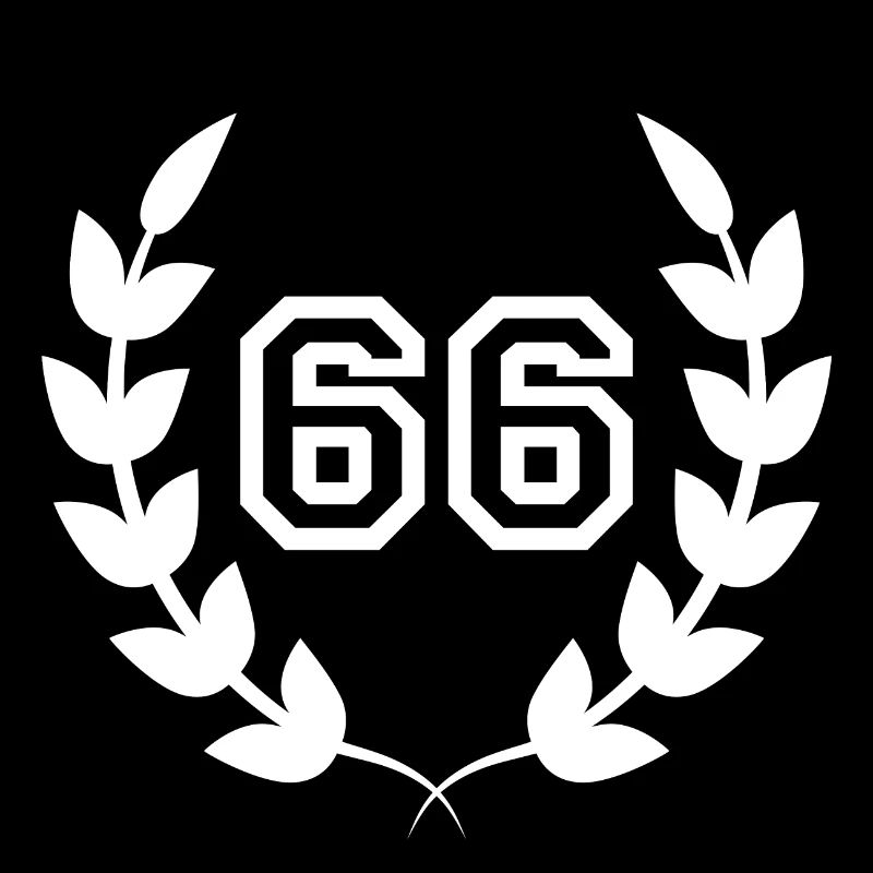 66e anniversaire-idée cadeau 66 ans