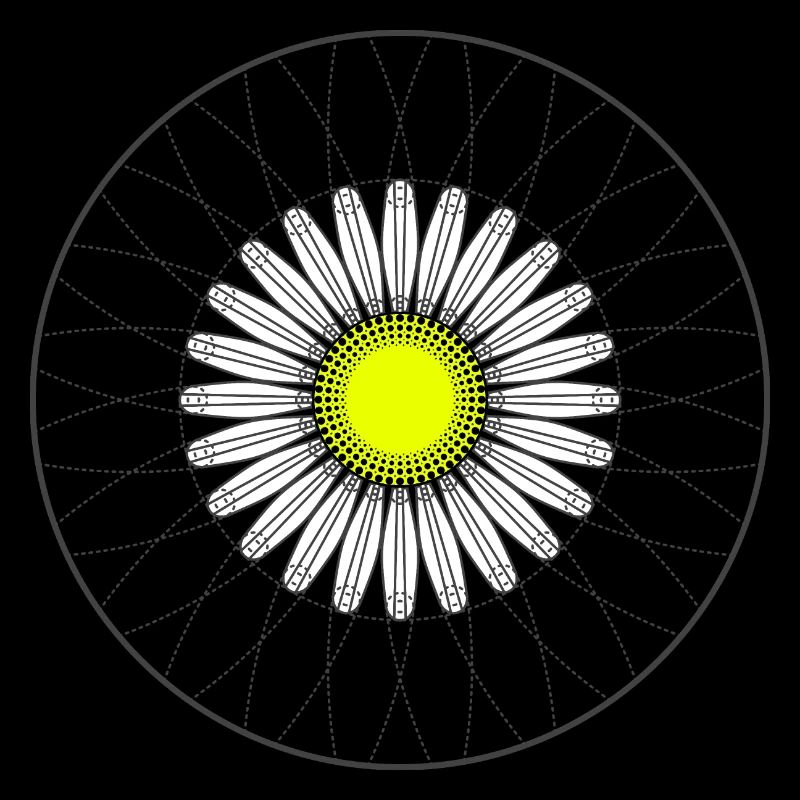 Gänseblümchen - Dunkel