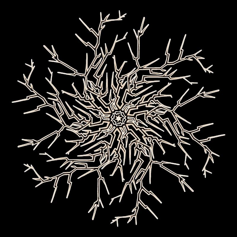 Soleil Arbre