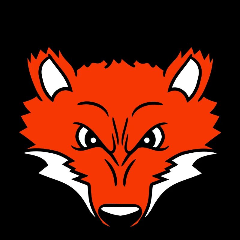Fuchs Böser Blick Gefährlich Rotfuchs Wildes Tier