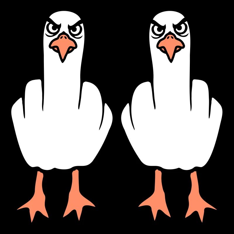 2 Möwen Mittelfinger Beleidigung Stinkefinger Team
