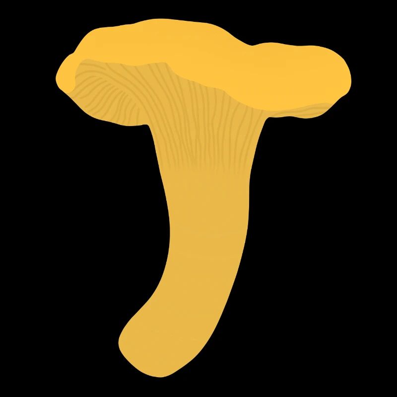 Girolles