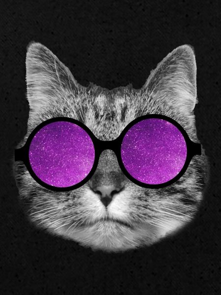 Chat de l’espace