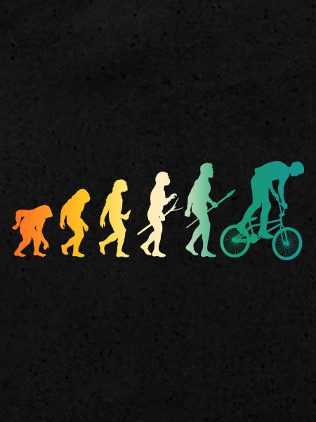 Vélo Evolution VTT