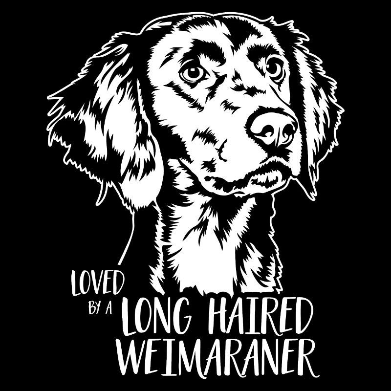 Loved by a Long Haired Weimaraner Hunde Wilsigns