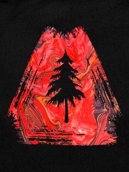 sapin e 13