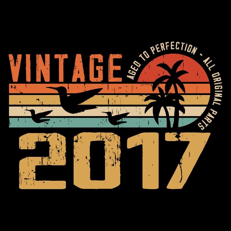 Vintage 2017 Anniversary Gift - Vintage 2017