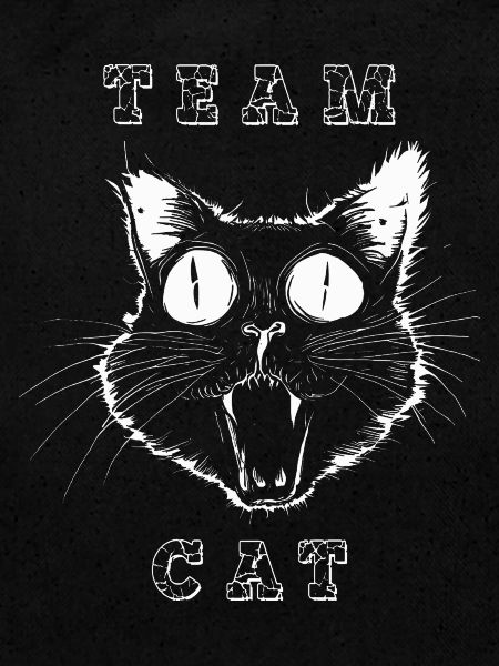crazy cat TEAM