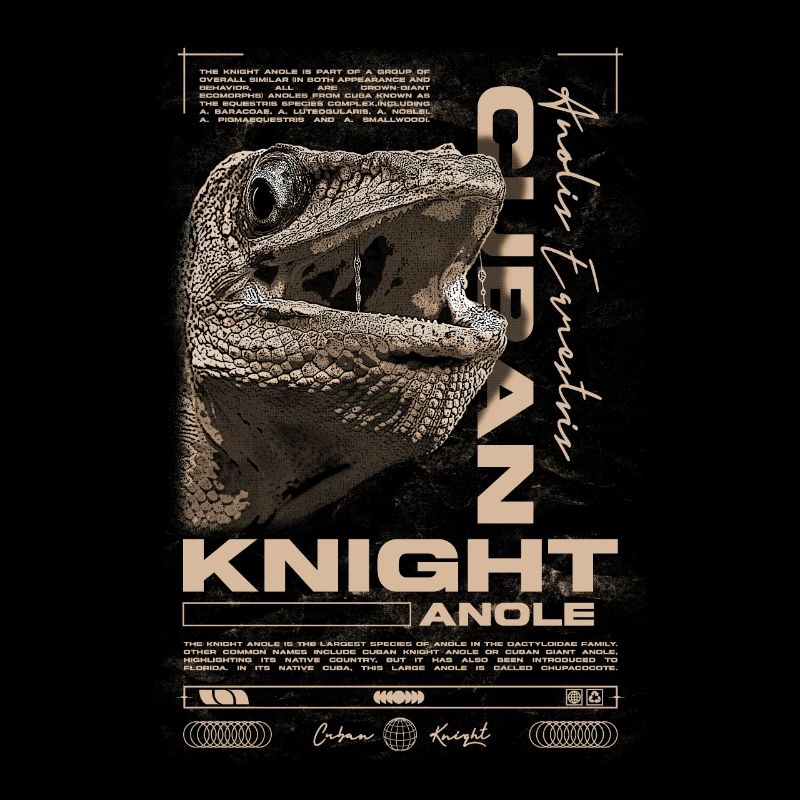 Cuban Knight Anole Reptile Keeper Lizard
