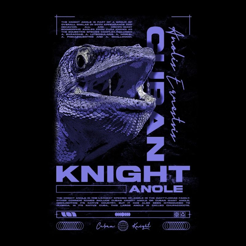 Cuban Knight Anole Reptile Keeper Lizard