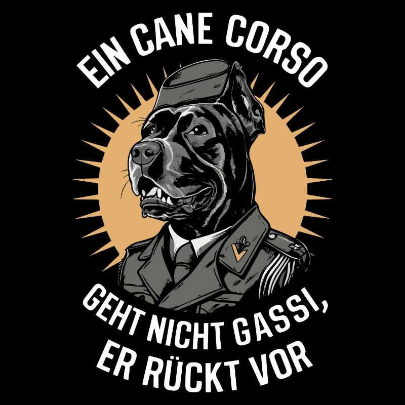 Hunde Cane Corso Italiano Hund