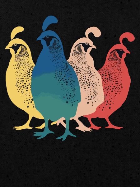 Caille Oiseau Cailles