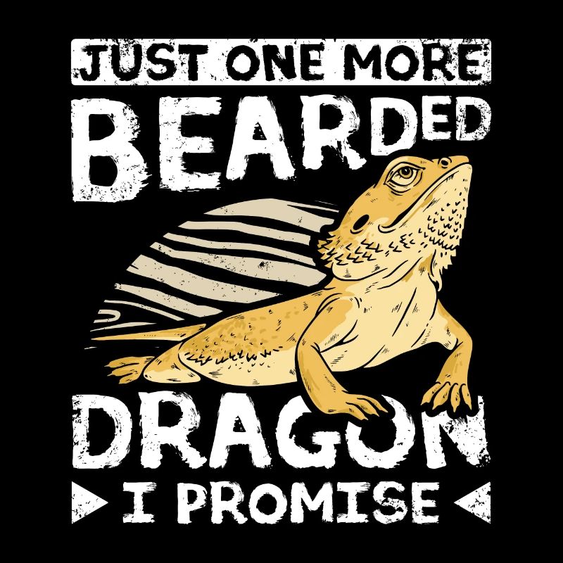 Juste un dragon barbu de plus, je vous le promets