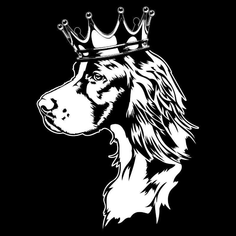 Irish Red and White Setter Crown Dogs Wilsigns