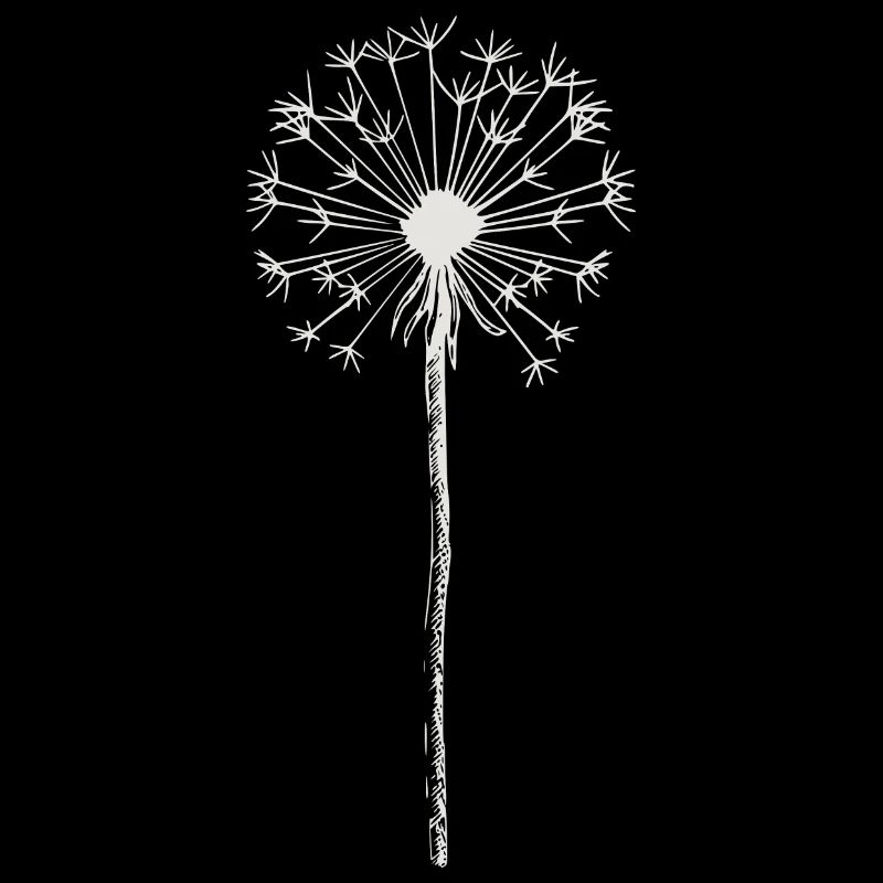 Dandelion - Dandelion - Nature