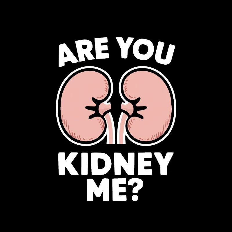 Nierenspender Niere Organspender