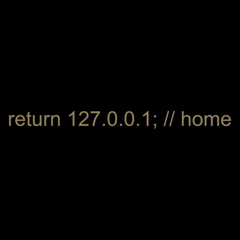Programmer Nerd IT Joke Developer Home