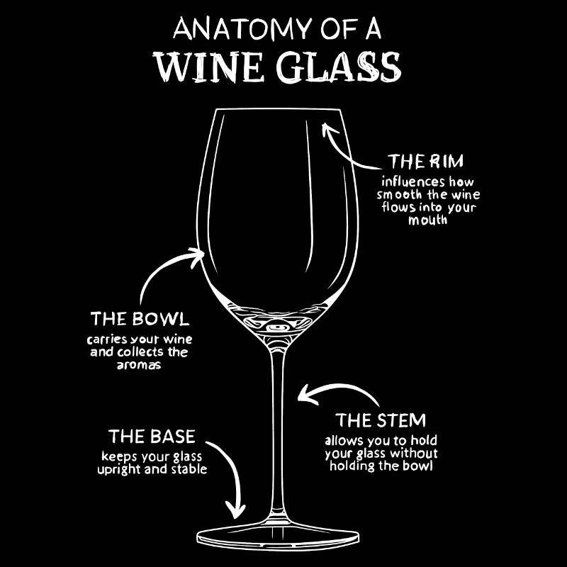 Anatomie du verre à vin